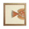 The Dybdahl Co. - Half Fishes Print