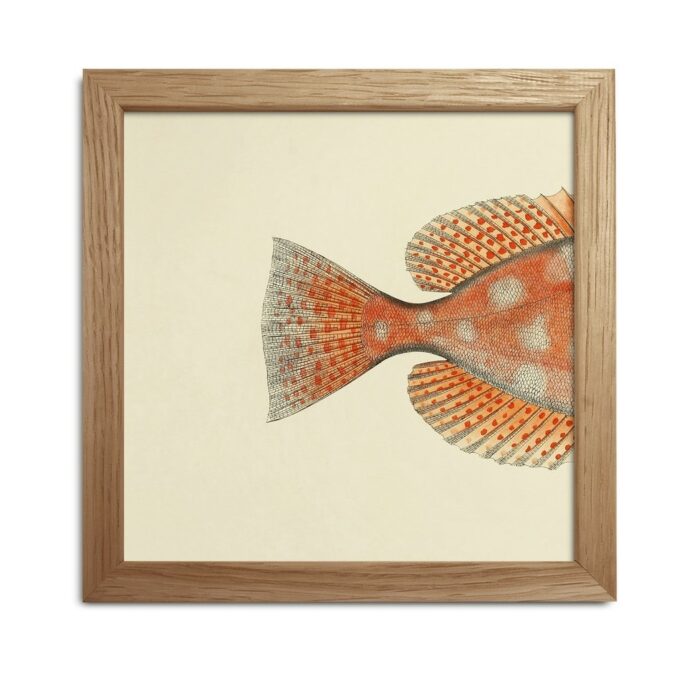 The Dybdahl Co. - Half Fishes Print