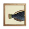 The Dybdahl - Half Fishes Print - She wore blue….fish tail?