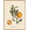 The Dybdahl Co. - Bigarrade - plakat