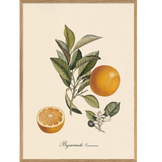 The Dybdahl Co. - Bigarrade - plakat