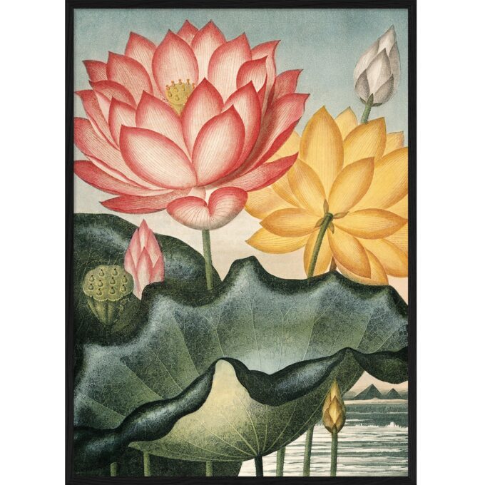 The Dybdahl Co. - Sacred Egyptian The Temple Of Flora