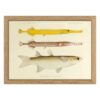The Dybdahl Co. - Fishes Print - Just chilin´wit da gang