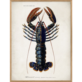 The Dybdahl Co. - Lobster - plakat