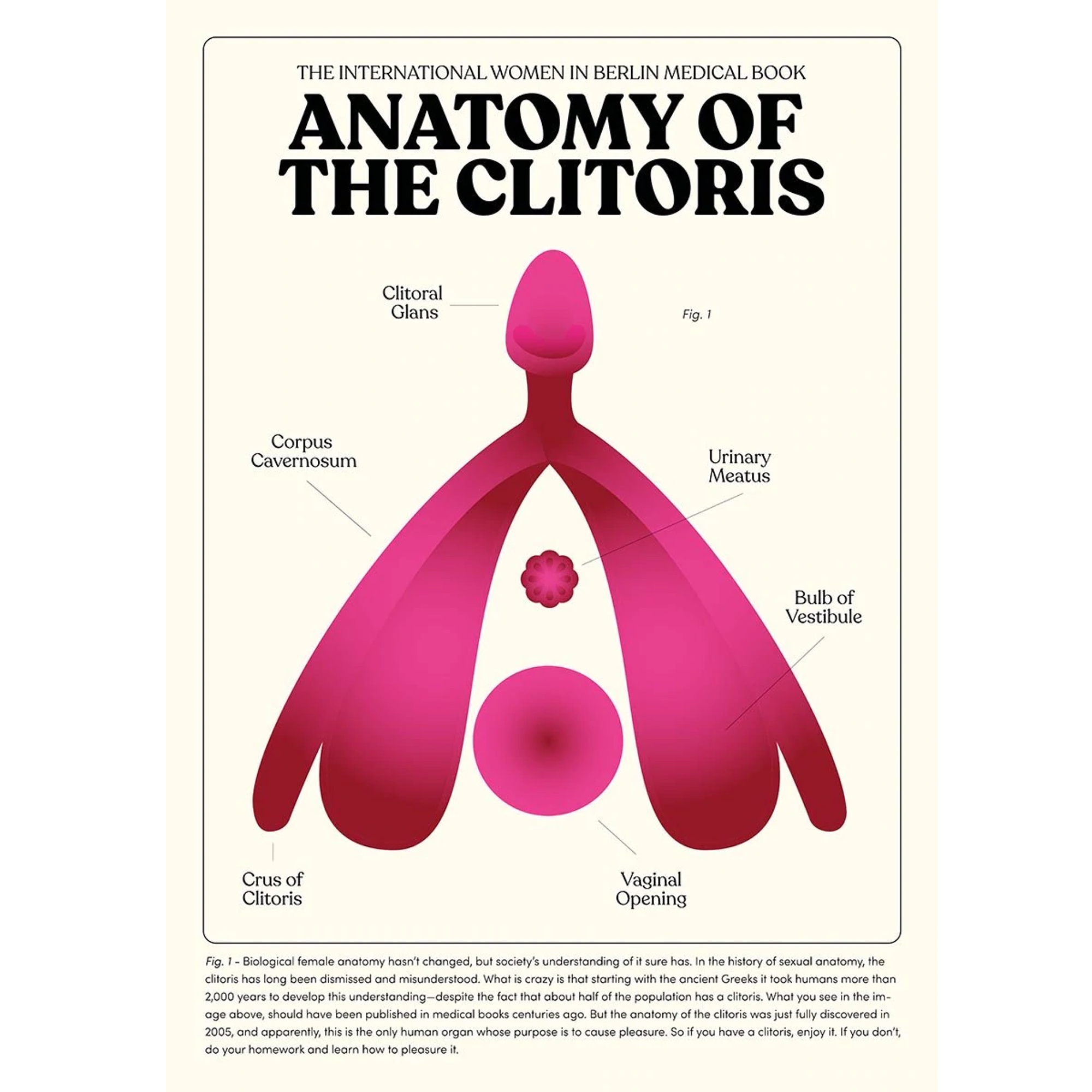 Anatomy Of The Clitoris Maduro dk Anatomy Of The Clitoris Maduro dk