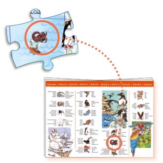 Djeco - Puslespil Verdens Dyr - 100 Brikker