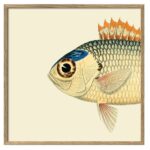 The Dybdahl Co. - ORANGE WHITE AND BLUE FISH HEAD - 30*30 cm