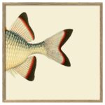 The Dybdahl Co - ORANGE WHITE AND BLUE FISH TAIL - 30*30 cm
