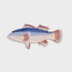 Plate Fish Perch