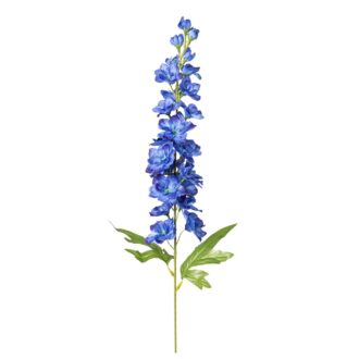 Evighedsblomster - Ridderspore Blå