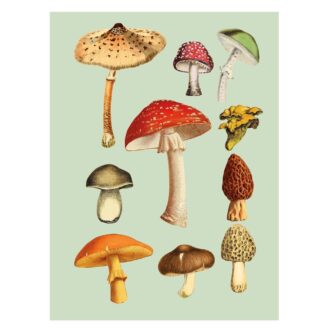 Antiquarian Sticker Book