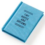 Tiny Hopes And Dreams Tiny Diary