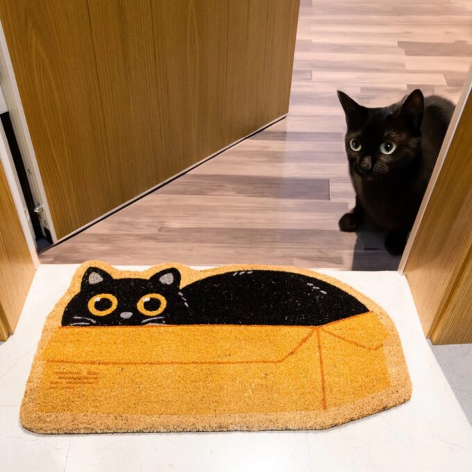 Dørmåtte - Kat