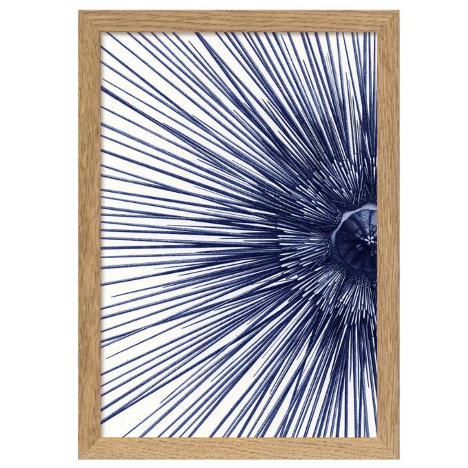 The Dybdahl Co. - Sea Urchin With Spines