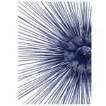 The Dybdahl Co. - Sea Urchin With Spines