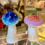 Salt og Peber - Magic Mushrooms
