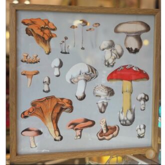 The Dybdahl Co. - Svampe