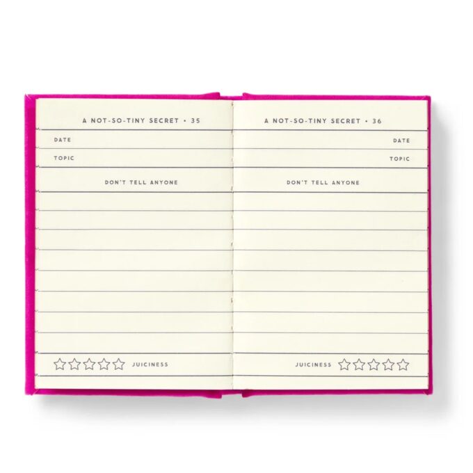 A Tiny Diary For Not So Tiny Secrets