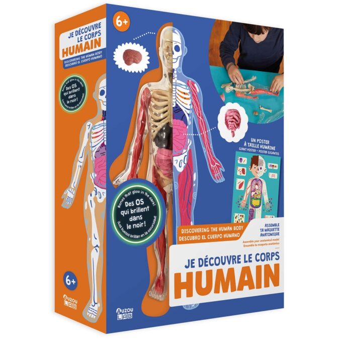 Udforsk Menneskekroppen