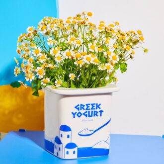 Vase – Græsk Yoghurt